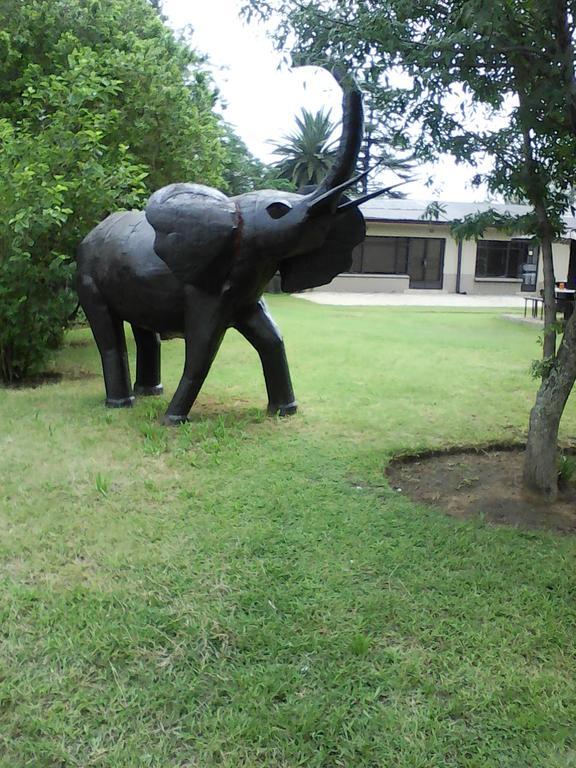 Elephant Lodge Guesthouse Vanderbijlpark Εξωτερικό φωτογραφία
